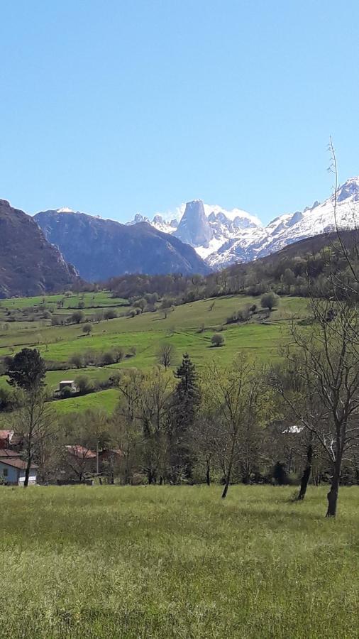 La Casa De La Vega Villa Arenas De Cabrales Eksteriør billede